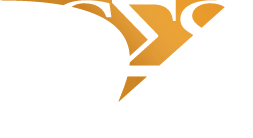 Software Engineering Services